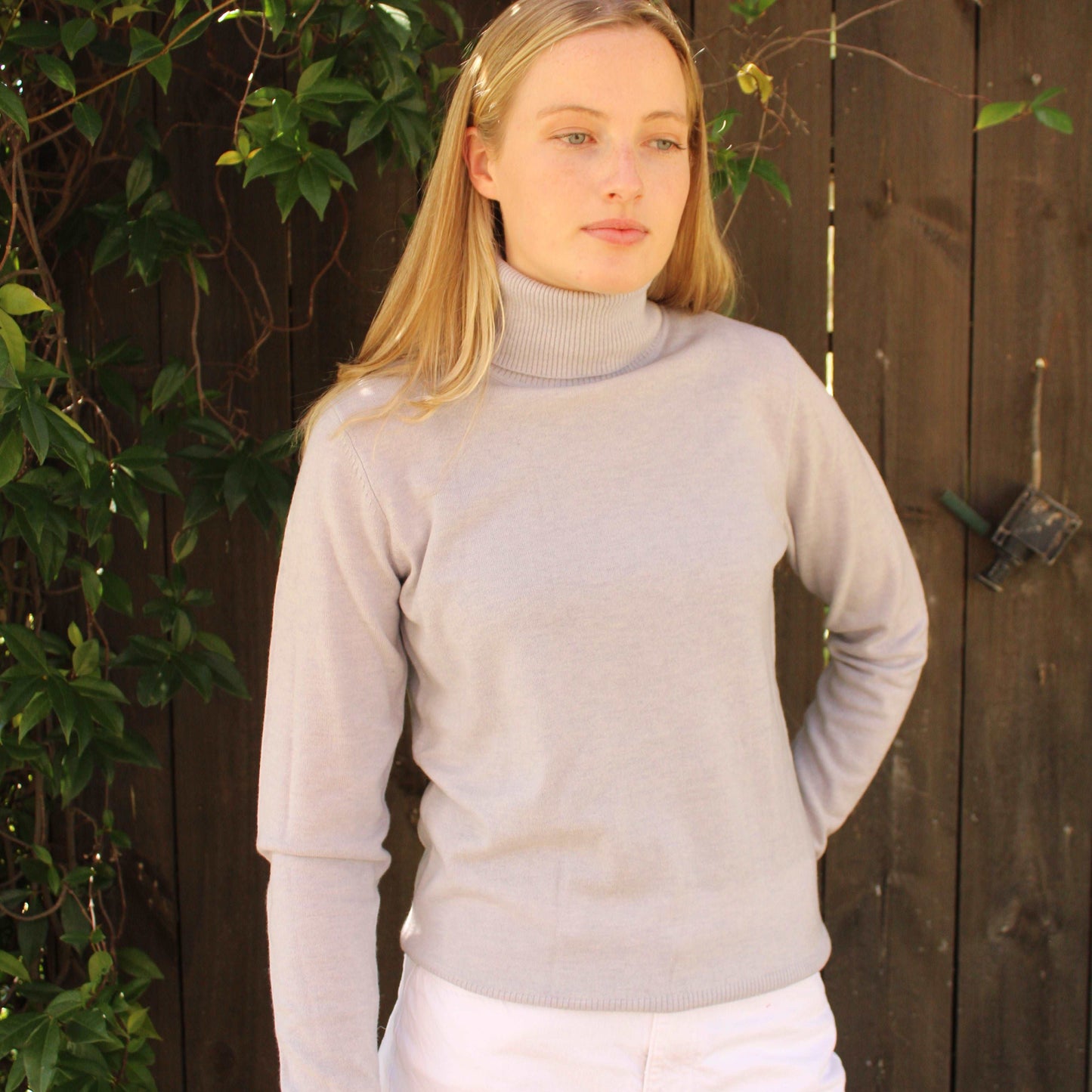 Bridge and Lord Merino and cashmere roll neck