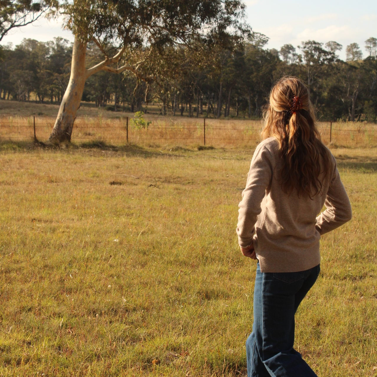 Cashmere jumper in beige from Bridge and Lord