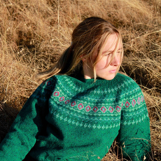 Harley Fairisle Yoke Sweater in Bute