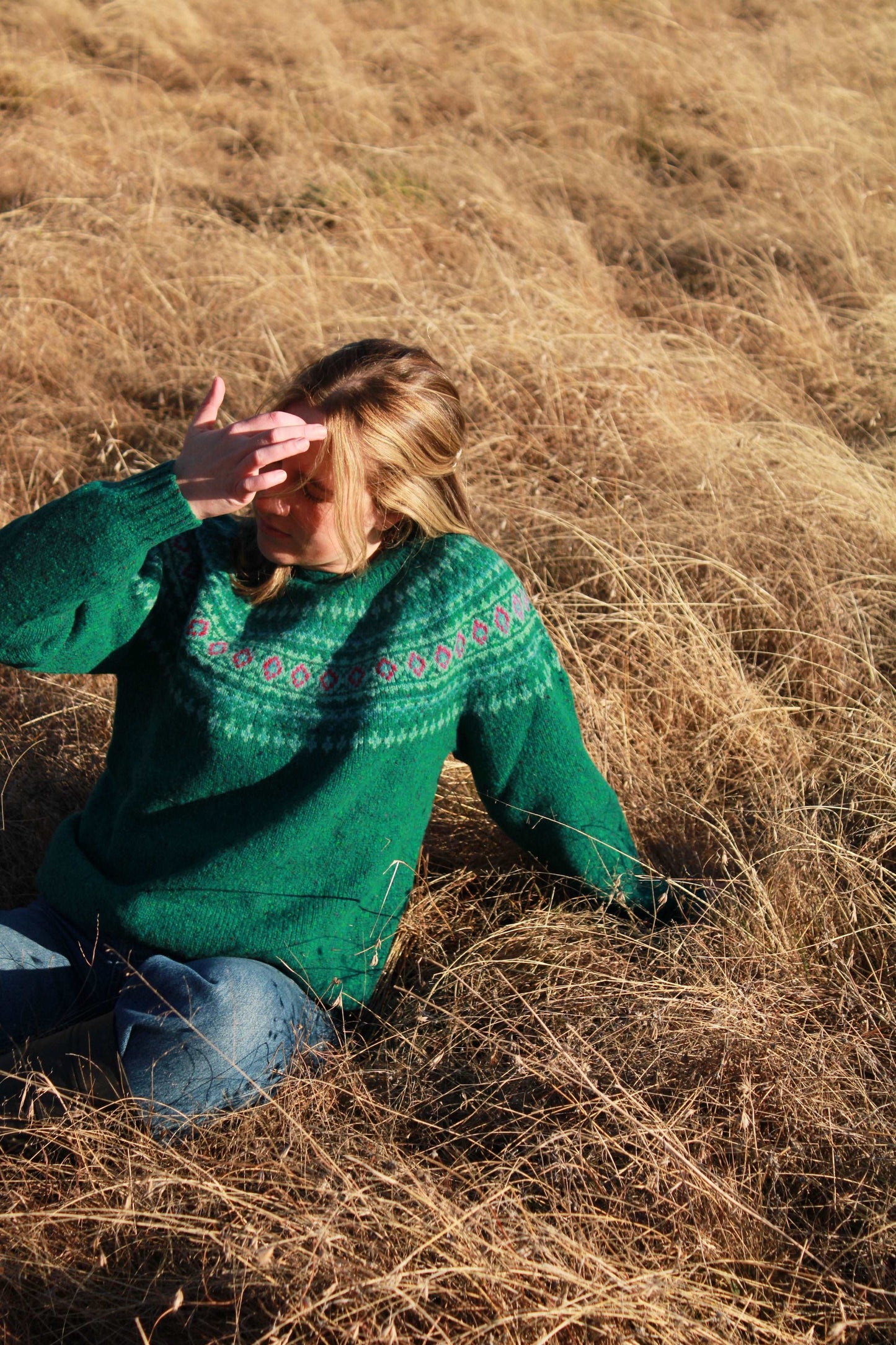 Harley Fairisle Yoke Sweater in Bute