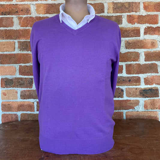 Men's Classic Vee Neck by Bridge and Lord - Purple